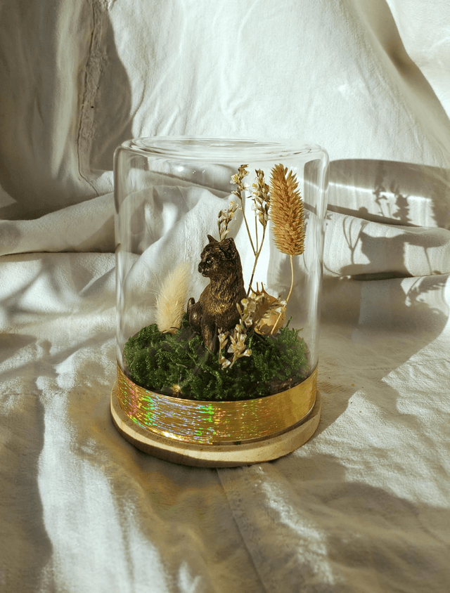 M01 chaton nature