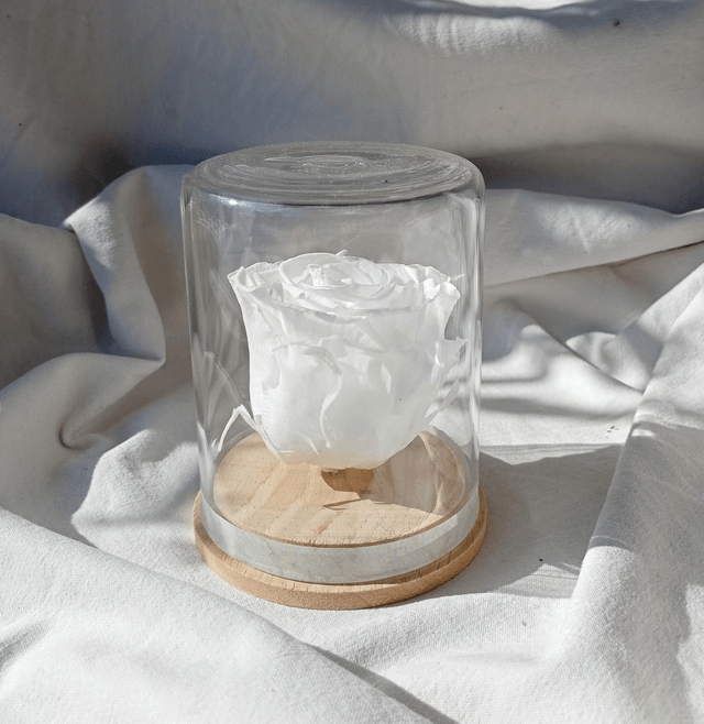 s3 unique rose blanche