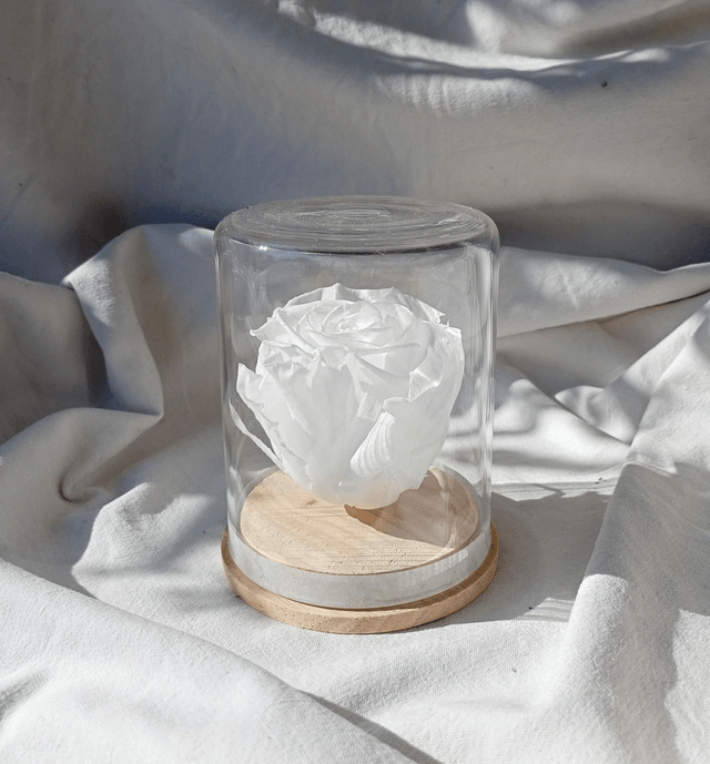s3 unique rose blanche