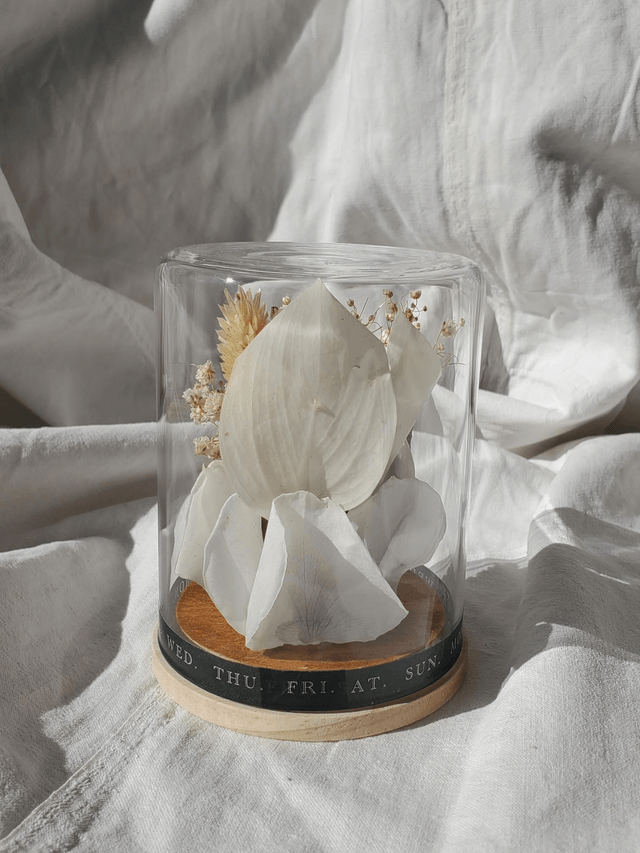 D11 mini crâne blanc