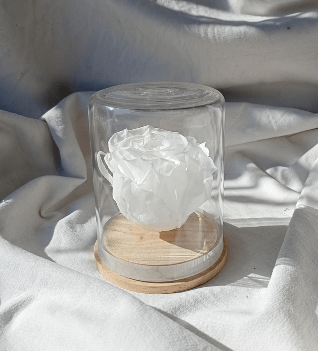 s3 unique rose blanche