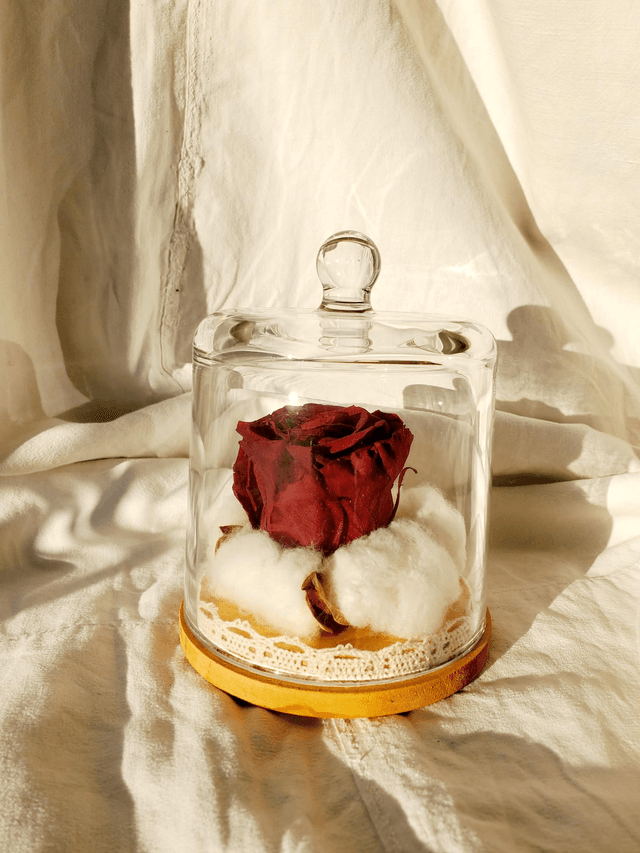  s010 Rose rouge foncé en nid de coton