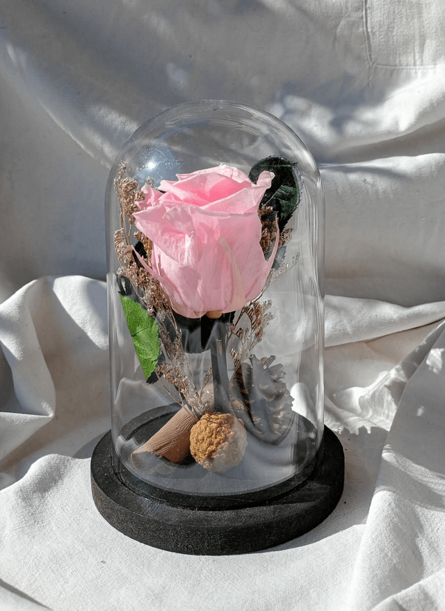 s005 je t'aime en rose