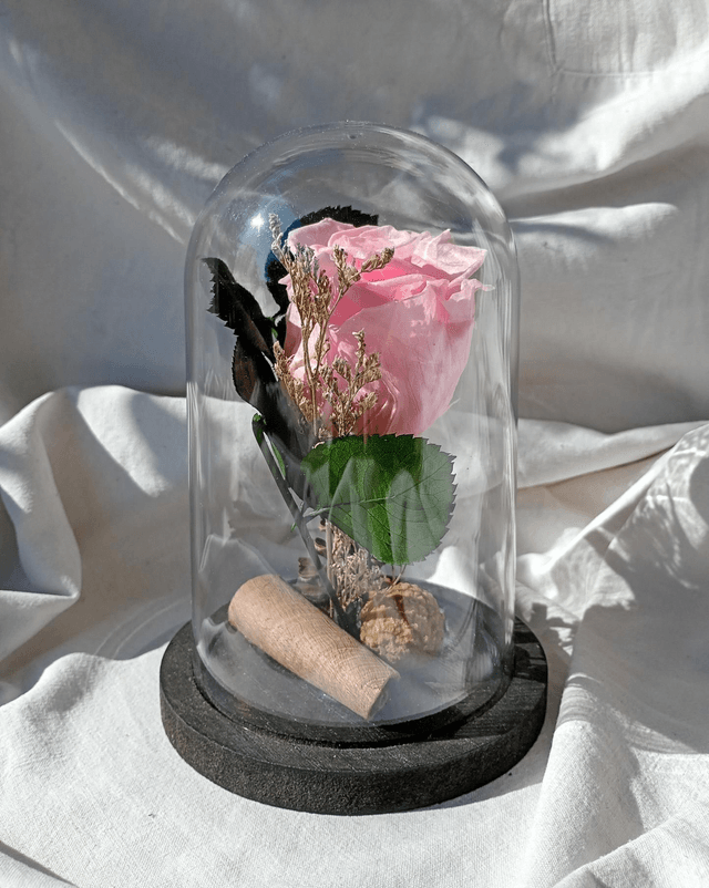 s005 je t'aime en rose
