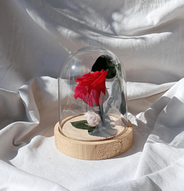 s012 Rose Versaille 