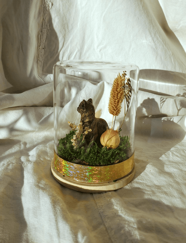 M01 chaton nature