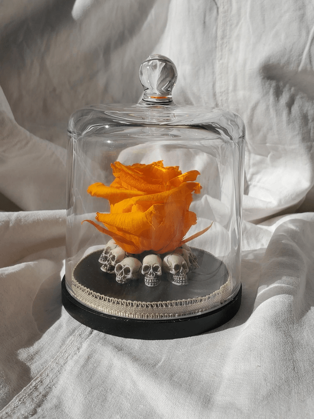 D10 Rose orange citrouille sur crâne