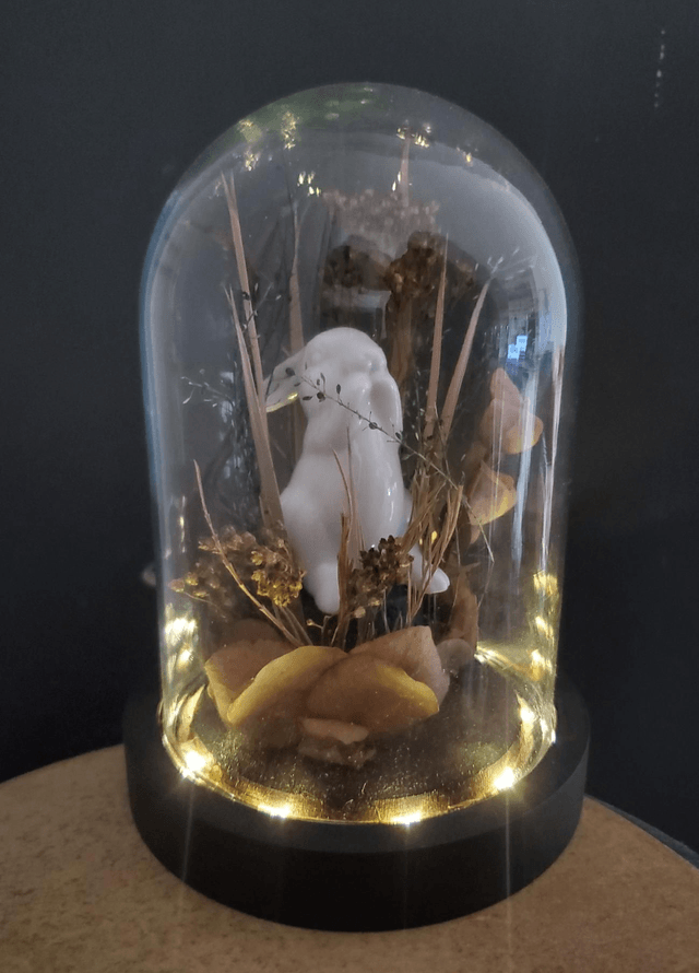 M09 Lapin lumineux