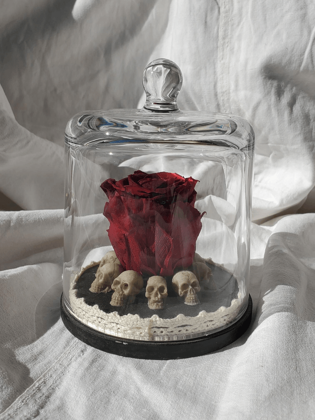 D07 Rose rouge sang sur crâne