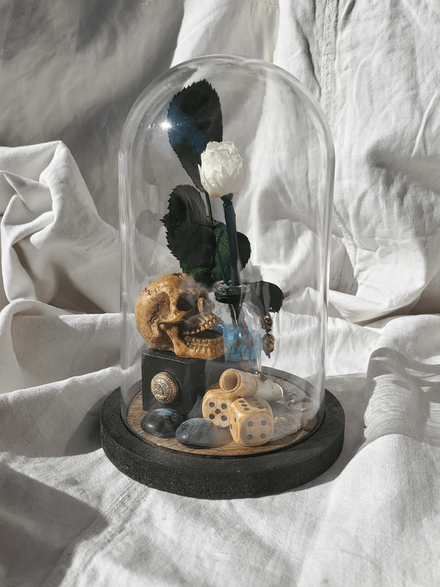 D03 pirate fleur blanche
