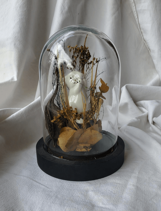 M09 Lapin lumineux