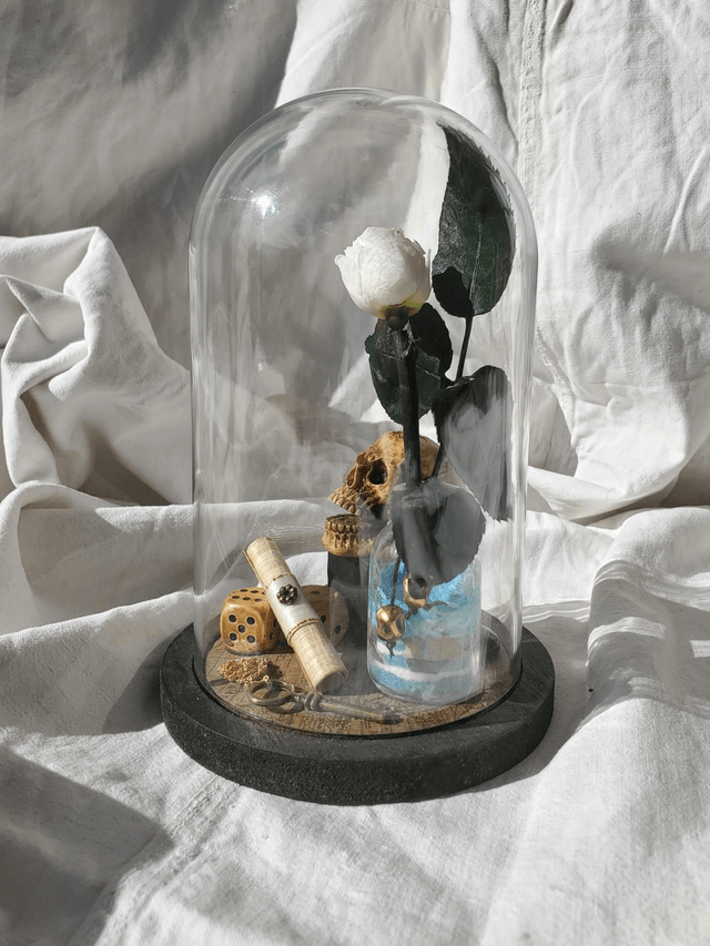 D03 pirate fleur blanche