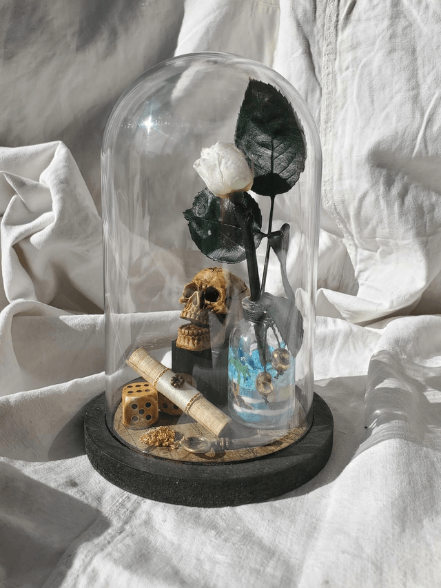 D03 pirate fleur blanche
