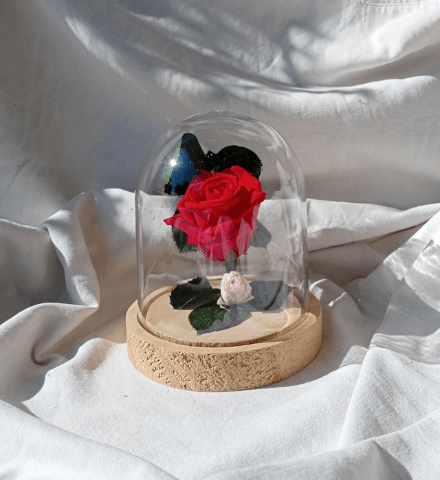 s012 Rose Versaille 