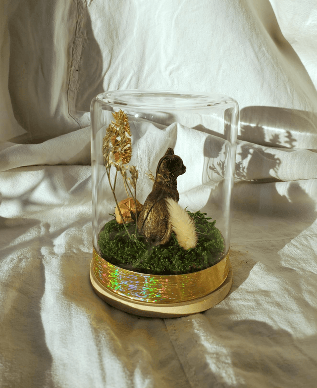 M01 chaton nature