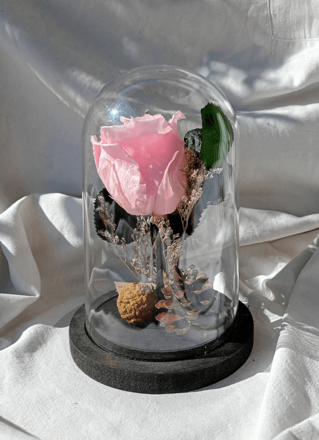 s005 je t'aime en rose