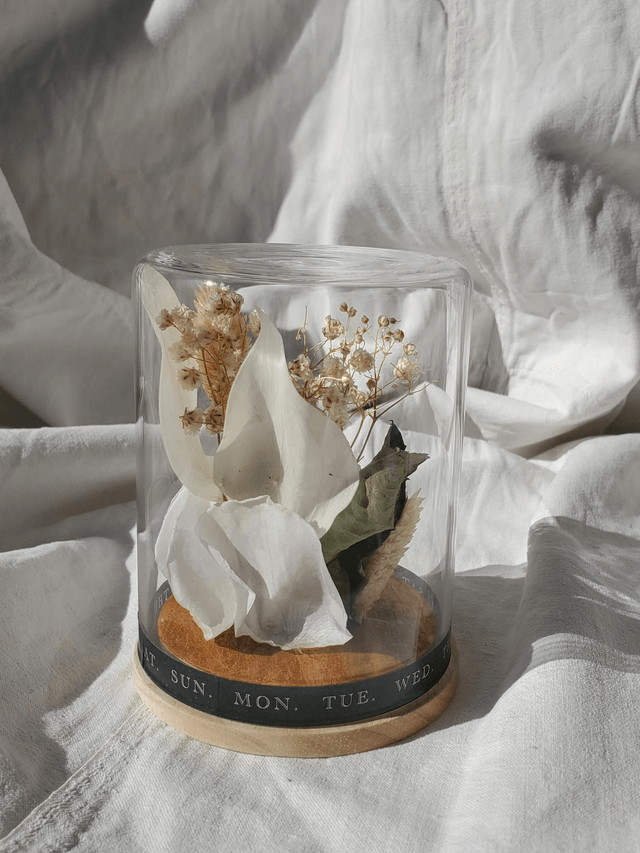 D11 mini crâne blanc