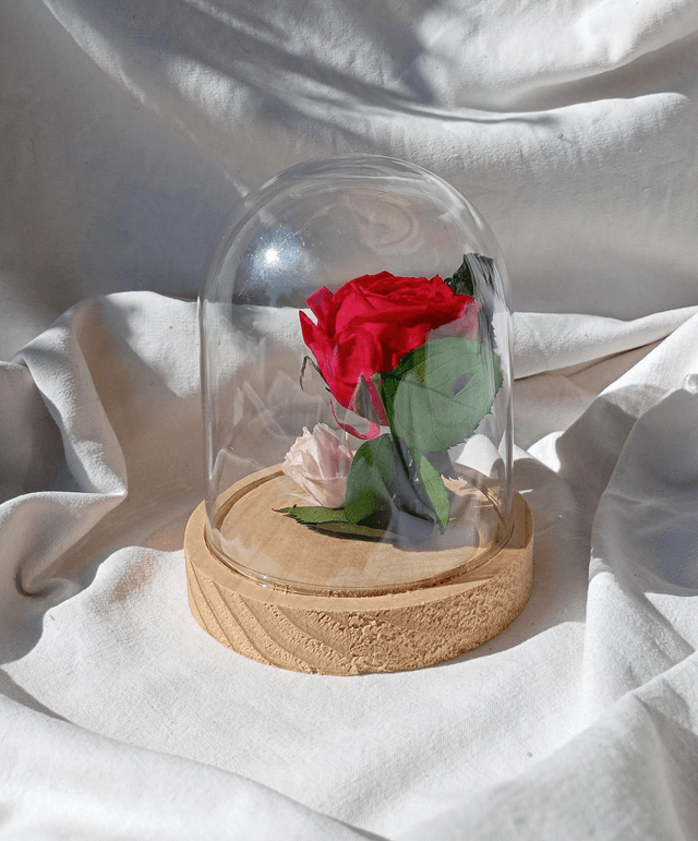 s011 rose anglaise rouge