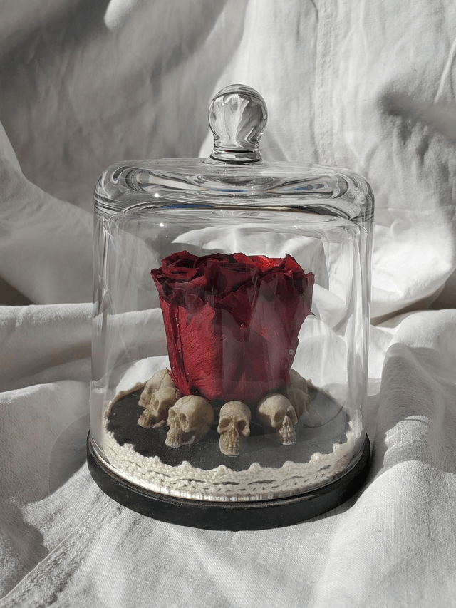 D07 Rose rouge sang sur crâne