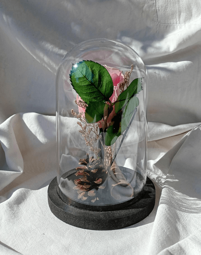 s005 je t'aime en rose
