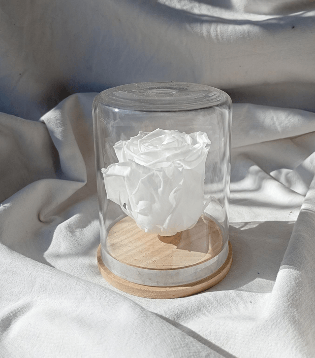 s3 unique rose blanche