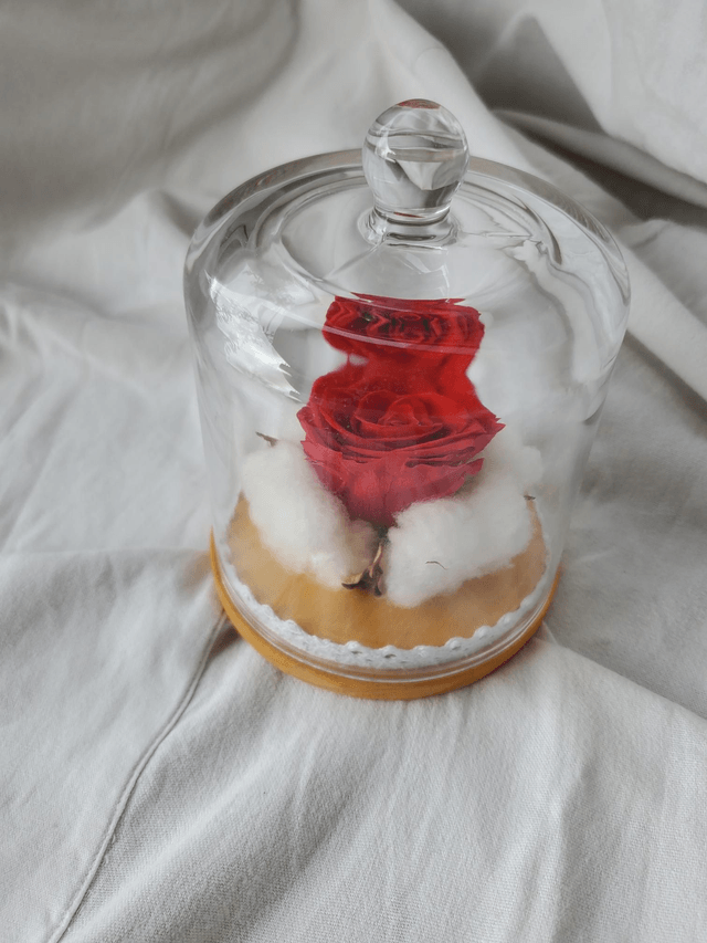 s09 Rose rouge en nid de coton