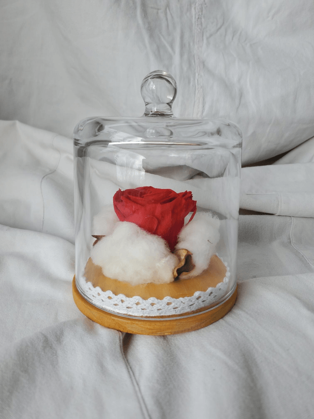 s09 Rose rouge en nid de coton