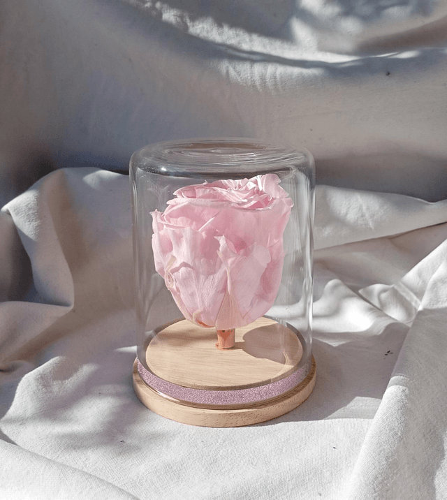 s2 unique rose rose