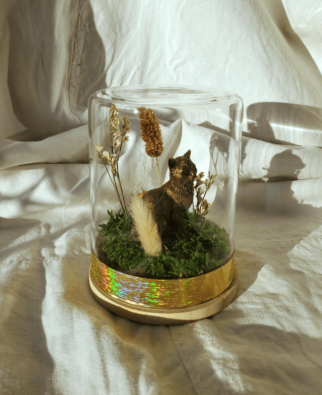 M01 chaton nature