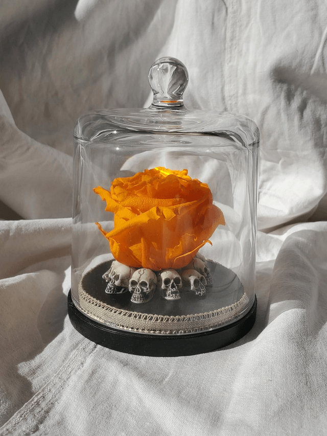 D10 Rose orange citrouille sur crâne