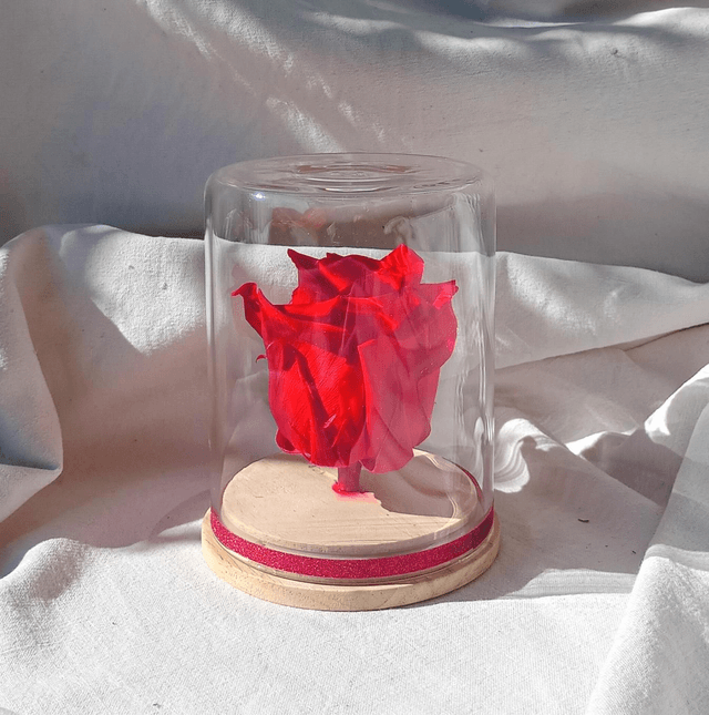 s1 unique rose rouge