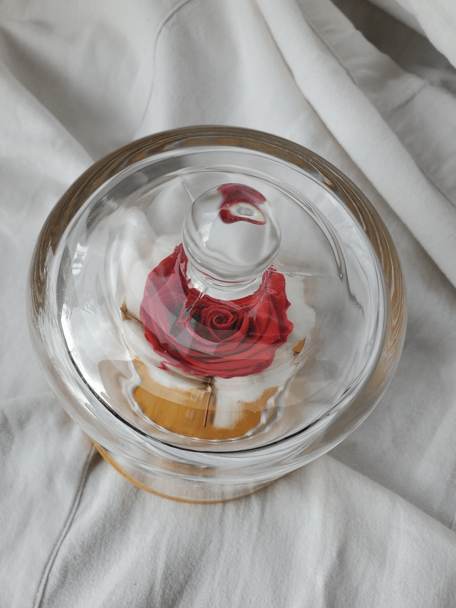 s09 Rose rouge en nid de coton