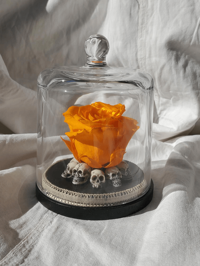 D10 Rose orange citrouille sur crâne