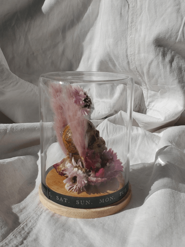 D13 mini crâne rose