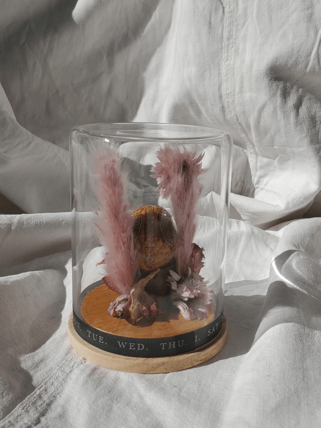 D13 mini crâne rose