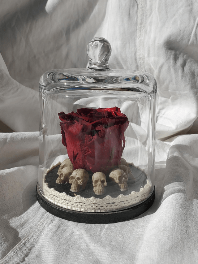 D07 Rose rouge sang sur crâne