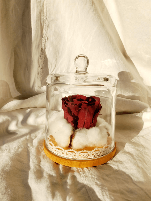  s010 Rose rouge foncé en nid de coton