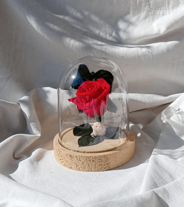 s012 Rose Versaille 