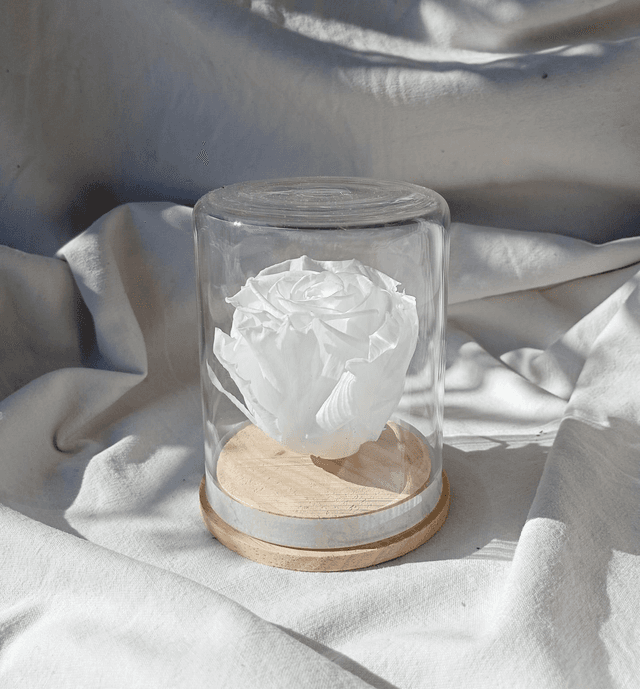 s3 unique rose blanche