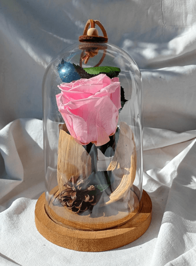 s006 i love you in pink