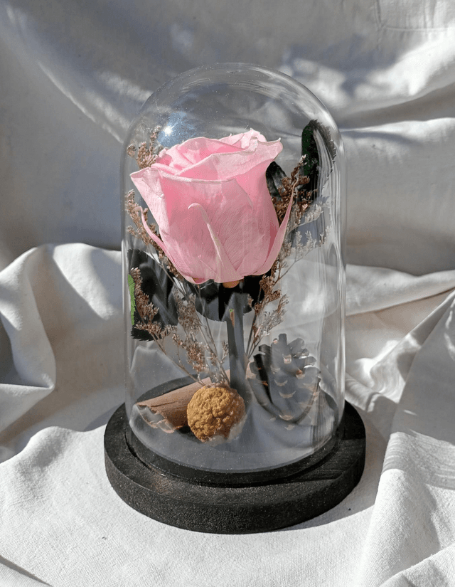 s005 je t&#039;aime en rose