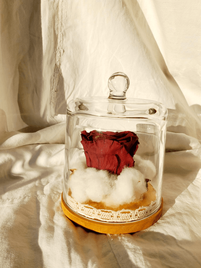  s010 Rose rouge foncé en nid de coton